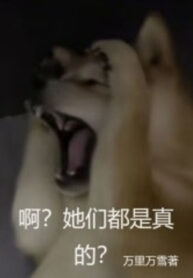 a-cac-nang-deu-la-that