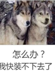 ta-lai-tro-thanh-khong-luu-tinh-danh-dai-lao