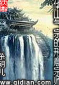 Hoa Sơn khí tông hình ý tông sư