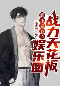 Bá Vương Hộ Chuyên Nghiệp, Ngành Giải Trí Chiến Lực Trần Nhà