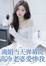 Ly Hôn Cùng Ngày, Mưa Đạn Nói Cao Lãnh Lão Bà Yêu Thảm Ta
