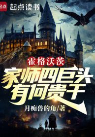 Hogwarts: Gia Sư Bốn Cự Đầu, Có Việc Gì