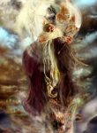 Sáng Thế Đấu Tôn