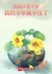 Giúp Đỡ Người Nghèo Chương Trình Tạp Kỹ Xuống Nông Thôn, Tài Hoa Của Ta Giấu Không Được