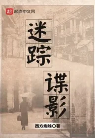 Mê Tung Điệp Ảnh