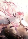 Ta, Kaname Madoka Chỉ Là Đi Ngang Qua Kamen Rider