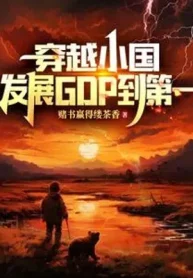 Xuyên Qua Tiểu Quốc, Phát Triển Gdp Đến Thứ Nhất